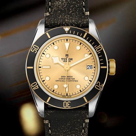 Tudor Black Bay Gold and Steel owners. How are you